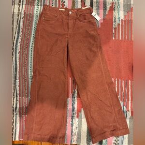 Pilcro Anthropologie Terracotta Corduroy Flare Pants size 30 / 10